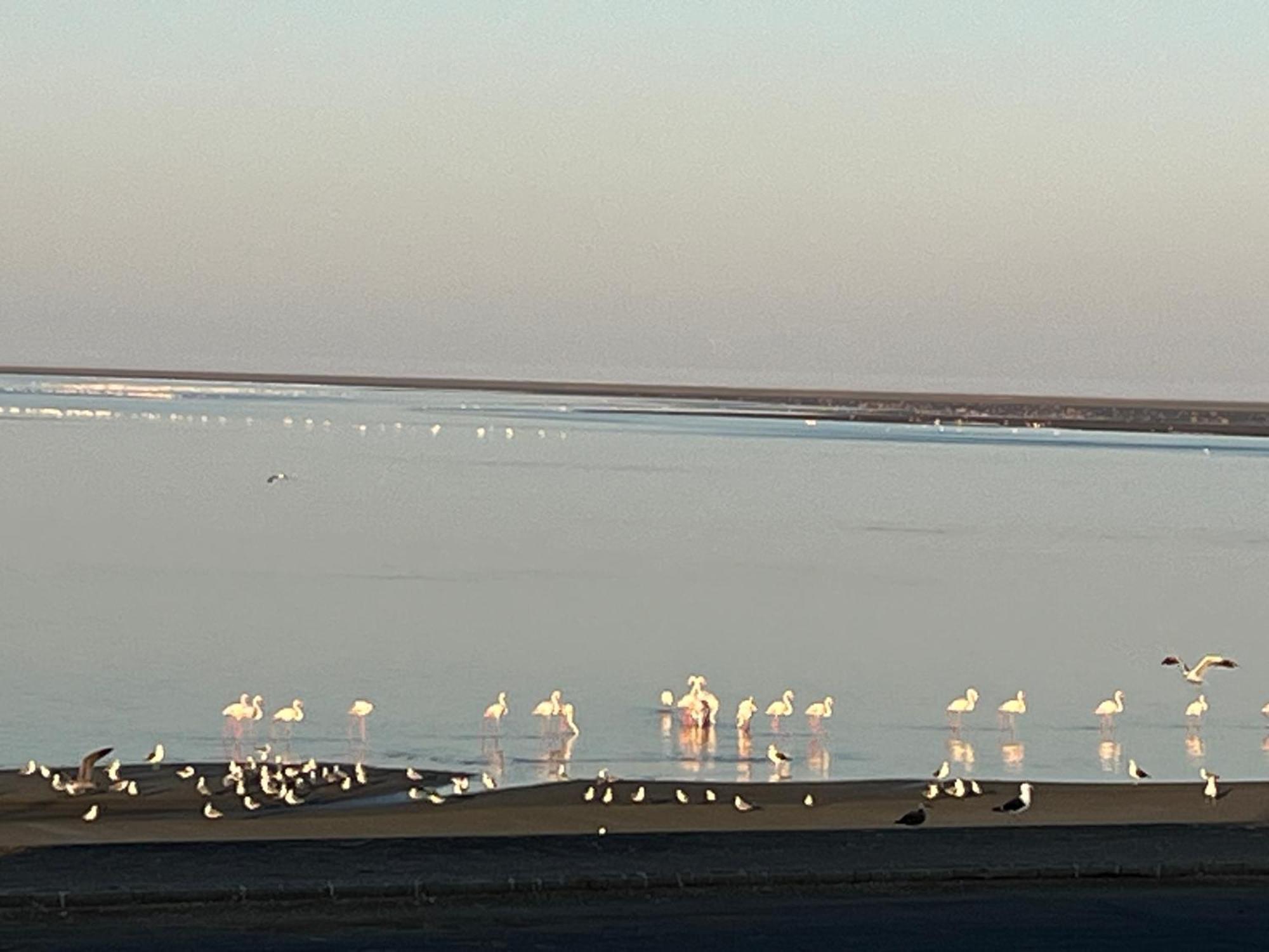 Lagoon View Self Catering Walvisbaai Buitenkant foto
